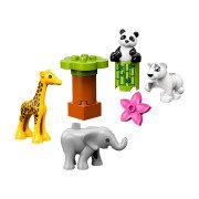 LEGO® Süße Tierkinder (10904)