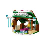 LEGO® Annas eisiges Abenteuer (41147)