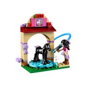 LEGO® Waschhäuschen für Emmas Fohlen (41123)