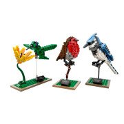 LEGO® Wildvögel (21301)