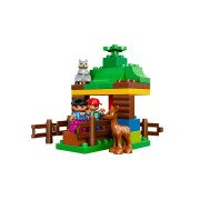 LEGO® Wildtiere (10582)