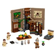 LEGO® Harry Potter™ Hogwarts™ Moment: Kräuterkundeunterricht (76384)