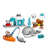 LEGO® Arktis (10803)