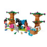 LEGO® Heartlake City Steinebox (41431)