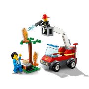 LEGO® Feuerwehr beim Grillfest (60212)