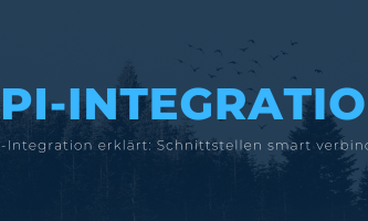API-Integration erklärt: Schnittstellen smart verbinden