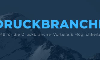 CMS für die Druckbranche: Vorteile & Möglichkeiten