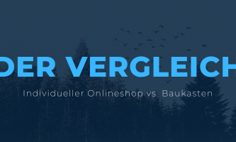 Individueller Onlineshop vs. Baukasten: Der echte Vergleich